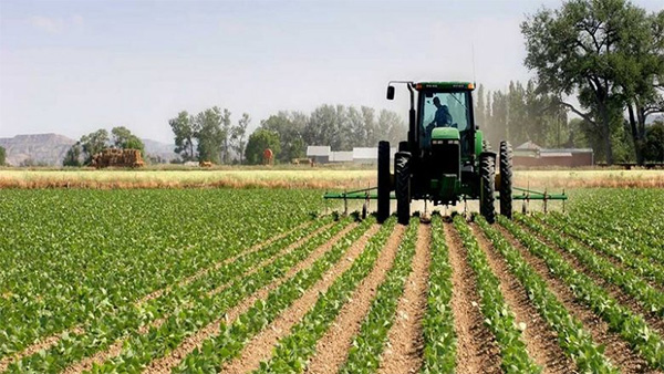 agriculture (1)