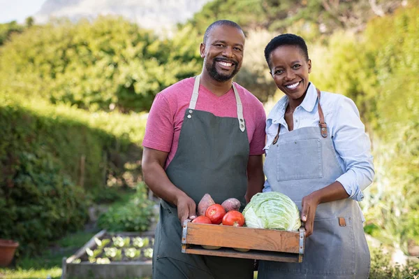 depositphotos 273431022 stock photo african farmer couple holding vegetable