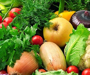 introvegetable2021